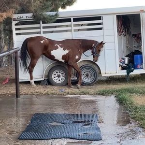 Meet your Posher, Efrain